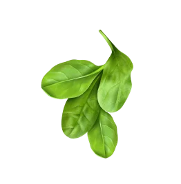 element-img
